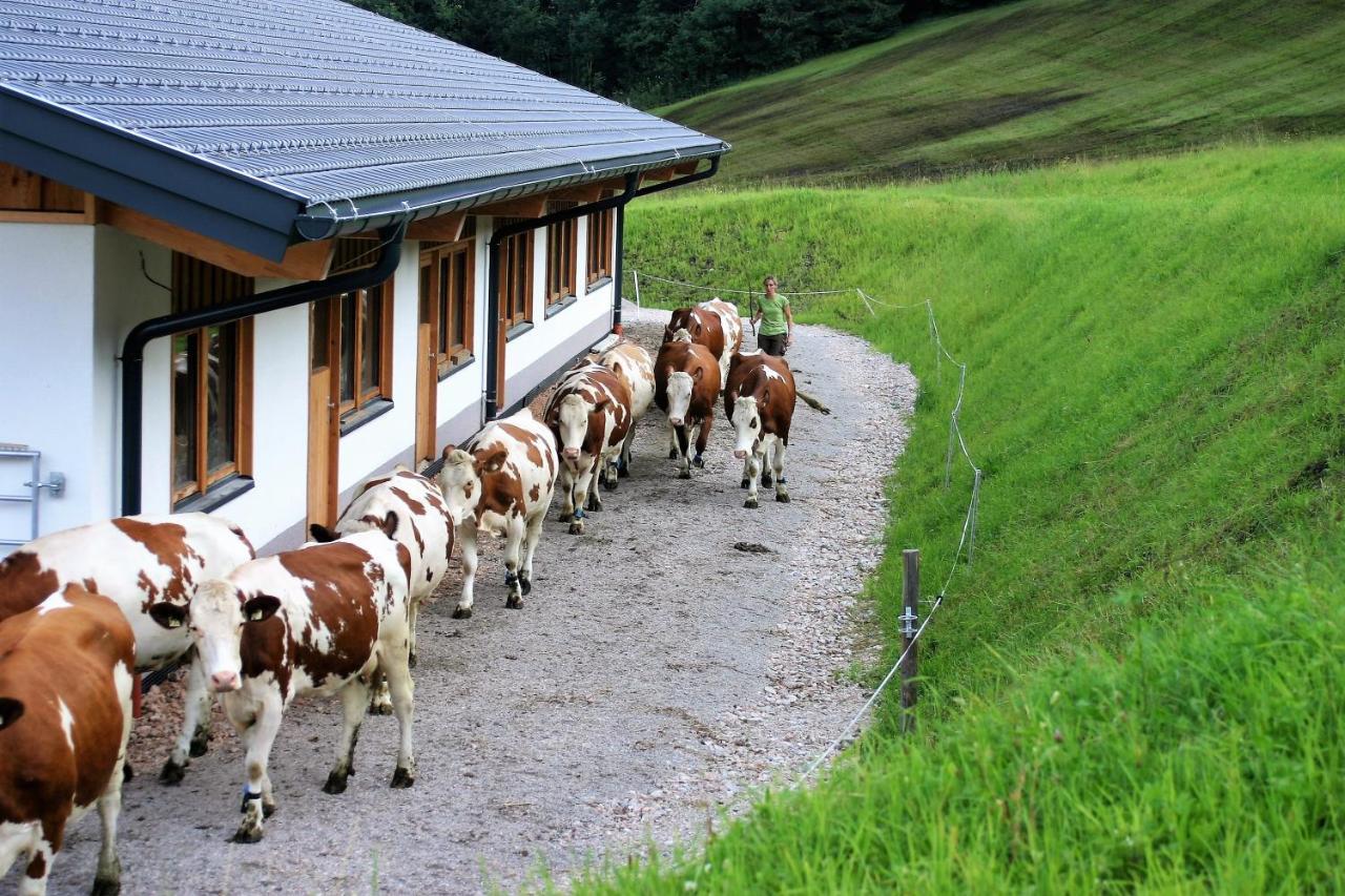 Villa Schartlhof Flachau Exterior foto